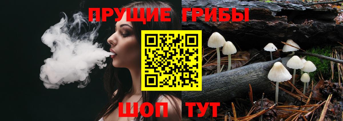 Галлюциногенные грибы Cubensis Сыктывкар